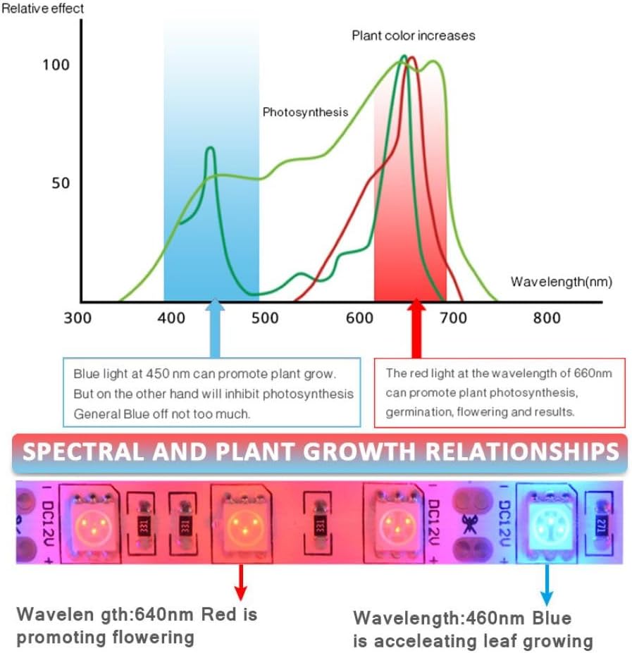 Plant Growth RED:BLUE /660nm:460nm  LED Grow Light  SMD5050 60LEDs 12V 14.4W Per Meter Strip