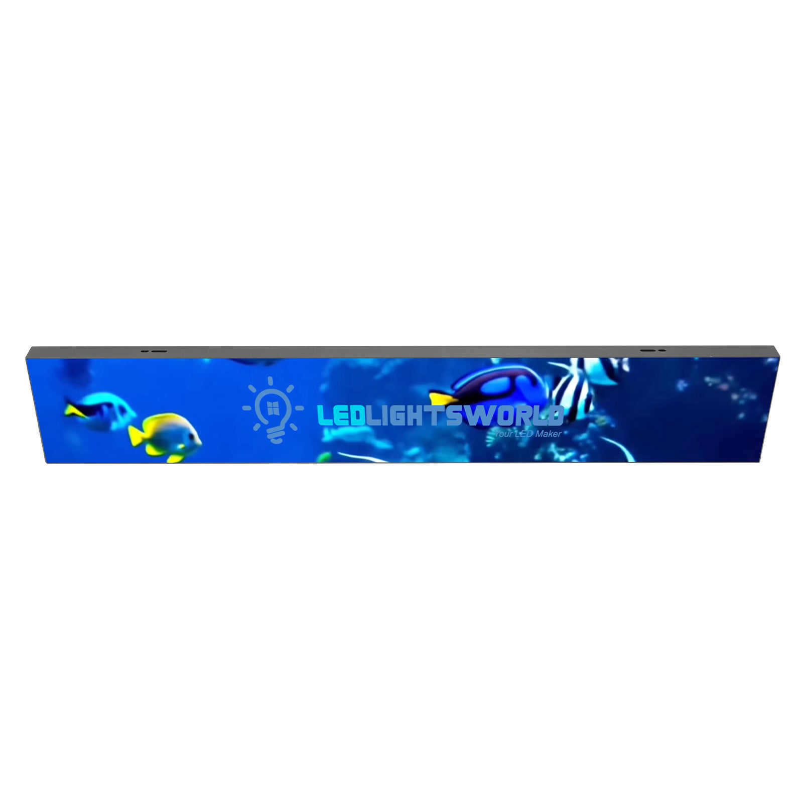 FL Series Frameless LED Shop Display – P1.86 · 160×960mm | Ultra-Thin GOB Screen for Store Windows & Retail Interiors