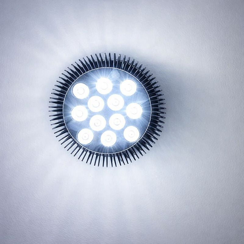 12W (12x1W) PAR38 LED Lamp with E27 Edison Screw Base 90W Equivalent 100-240V AC Black Housing Indoor Type