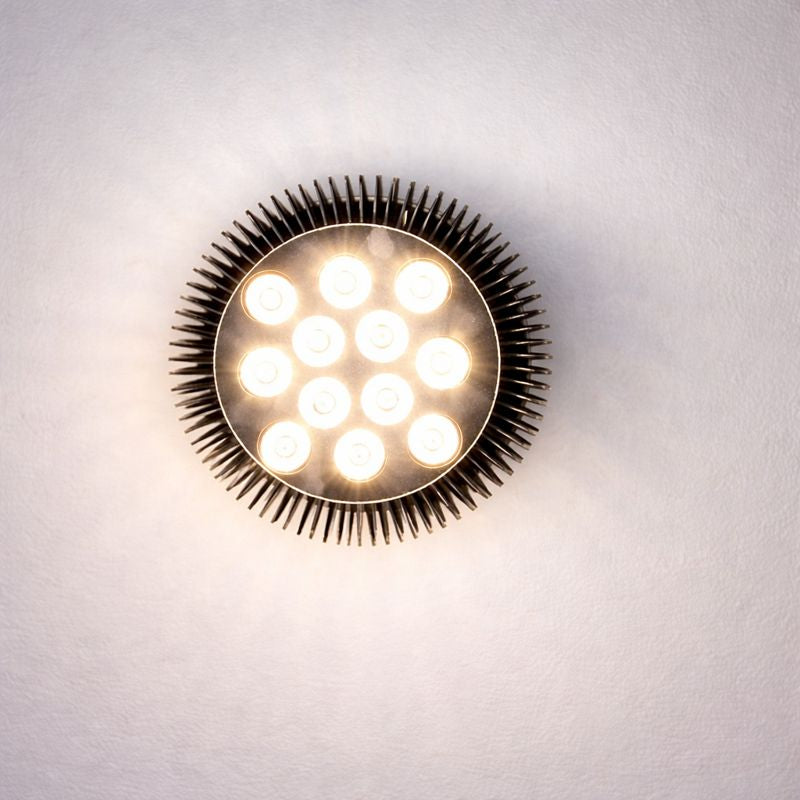 12W (12x1W) PAR38 LED Lamp with E27 Edison Screw Base 90W Equivalent 100-240V AC Black Housing Indoor Type