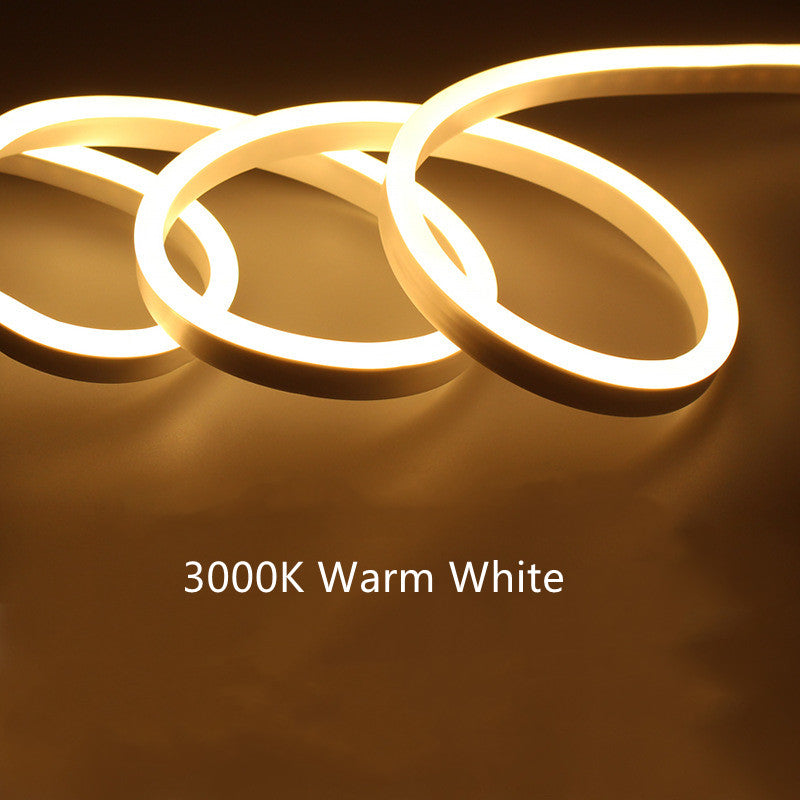 65.6FT (20Meters) LED Neon Rope Lights 8x16(mm) Neon LED Strip Lights 8Watt 120LEDs/M Flexibl 110V/220V AC Rope Lights Waterproof, Custom Cuttable Neon Lighting for In&Outdoor