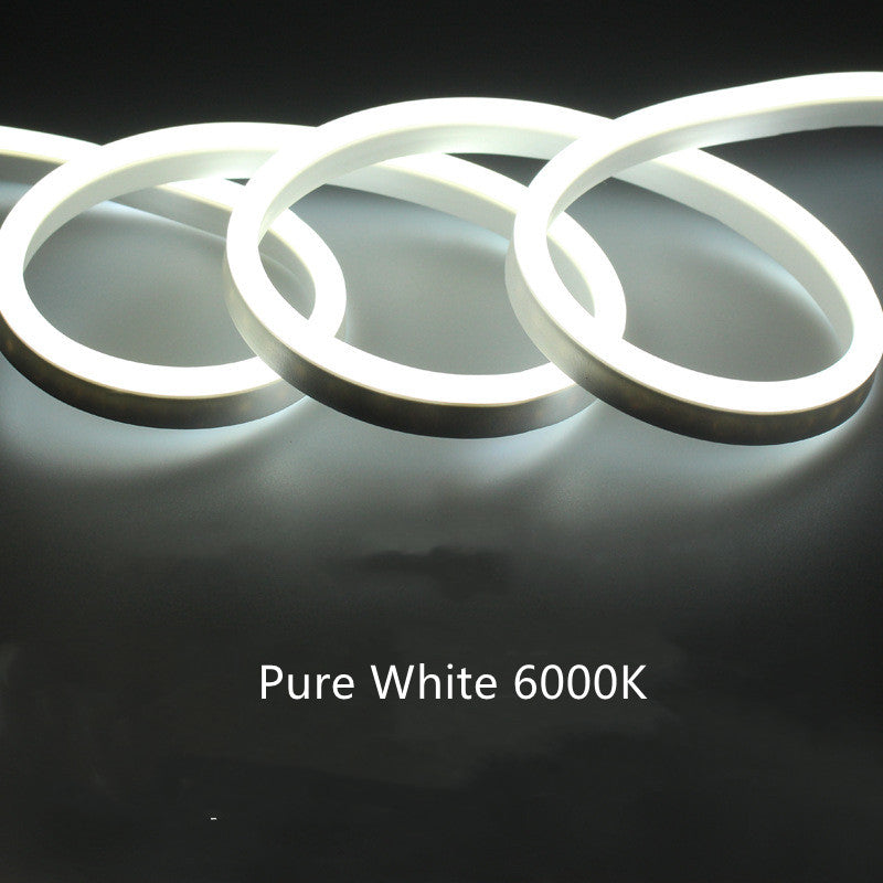 65.6FT (20Meters) LED Neon Rope Lights 8x16(mm) Neon LED Strip Lights 8Watt 120LEDs/M Flexibl 110V/220V AC Rope Lights Waterproof, Custom Cuttable Neon Lighting for In&Outdoor
