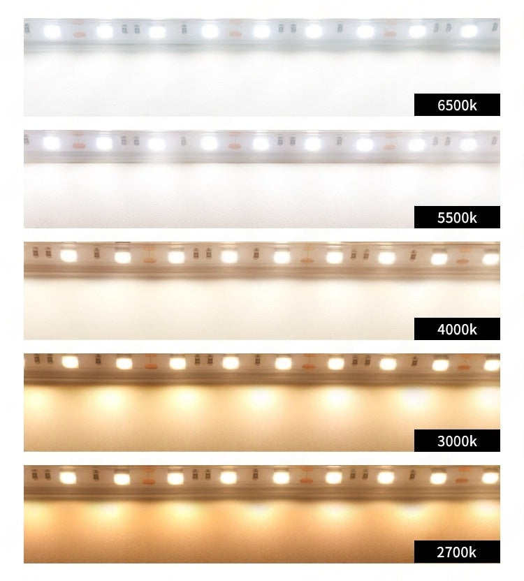 16.4FT 5Meter SMD5050 300LED 24V 12W Per Meter True Color CRI95+ Full Spectrum Natural Light LED Strip Light