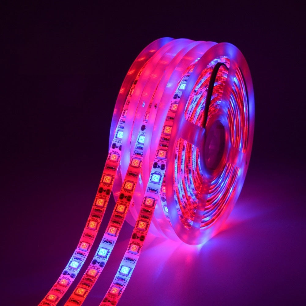 Plant Growth RED:BLUE /660nm:460nm  LED Grow Light  SMD5050 60LEDs 12V 12W Per Meter Strip