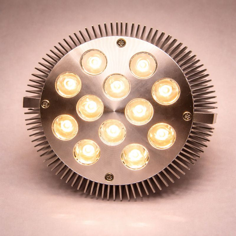 12W (12x1W) PAR38 LED Lamp with E27 Edison Screw Base 90W Equivalent 100-240V AC Silver Housing Indoor Type