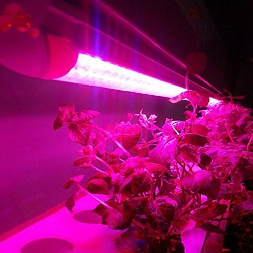 tube lights for growing plants 10Pcs 1/2/3/4 feet LED Tube T5 Grow Light Red/Blue Spectrum (R:B=5:1) Clear Lens for Indoor Plant Veg and Flower Hydroponic Greenhouse Growing Bar