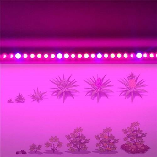 led plant grow light tube 10Pcs 2/3/4 feet LED Tube T8 Grow Light Red/Blue Spectrum (R:B=5:1) Clear Lens for Indoor Plant Veg and Flower Hydroponic Greenhouse Growing Bar Light