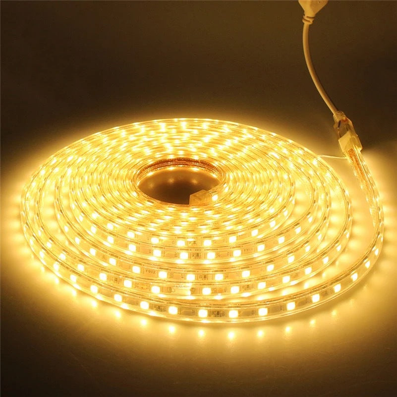 AC 110V 220V SMD5050 High Voltage Flat Strip Light 60 LEDs Per Meter 12mm Width with Wall Outlet Power Plug