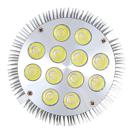 12 W (12 x 1 W) PAR38-LED-Lampe mit E27-Edison-Schraubsockel, entspricht 90 W, 100–240 V AC, silbernes Gehäuse, Innentyp