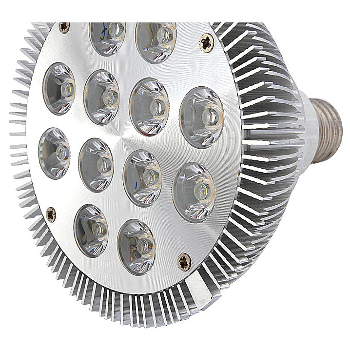 12 W (12 x 1 W) PAR38-LED-Lampe mit E27-Edison-Schraubsockel, entspricht 90 W, 100–240 V AC, silbernes Gehäuse, Innentyp